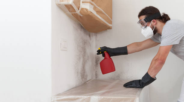 Professional Commercial Mold Remediation technician working in Highlands, TX